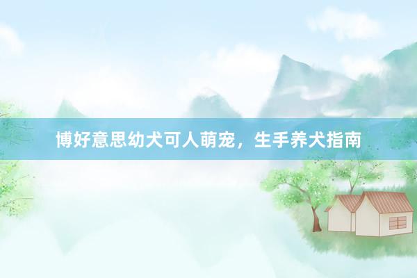 博好意思幼犬可人萌宠，生手养犬指南